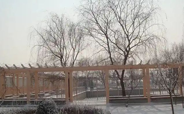 青岛市即墨区第四中学校区在哪 在什么区？