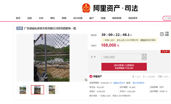 活鳄鱼上架阿里拍卖 公告提示需自行抓捕 网友：不敢拍怕被吃
