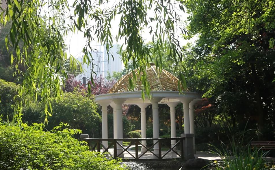 武汉市常青第一中学校区在哪 在什么区？