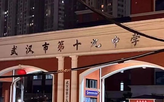 武汉市第十九中学在武汉的排名第几 属于什么档次？