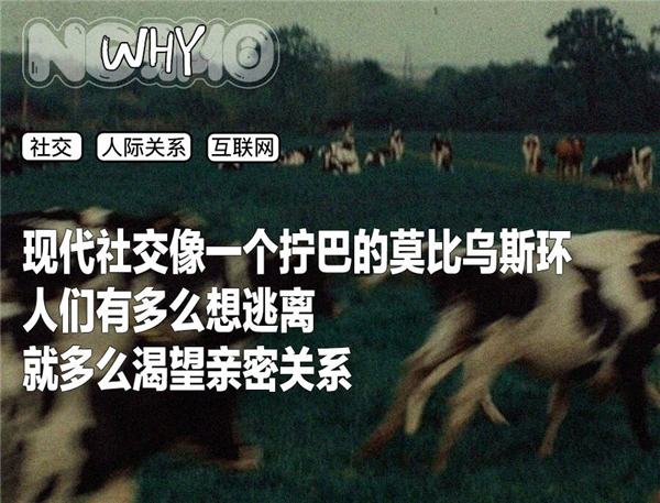 年轻一代的社交 为什么这么拧巴了？