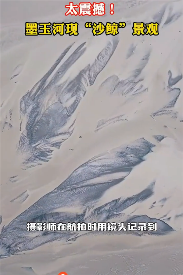 新疆一河水退去惊现巨鲸图案：长达520米