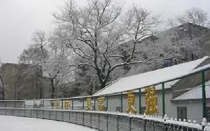 武汉市第十五中学简介概况（建校历史、地址、师资、校训、环境）