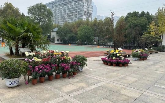 武汉市第二十六中学在武汉的排名第几 属于什么档次？