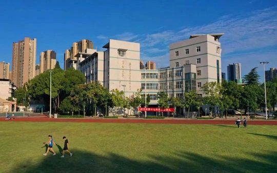 武汉市第十七中学校区在哪 在什么区？