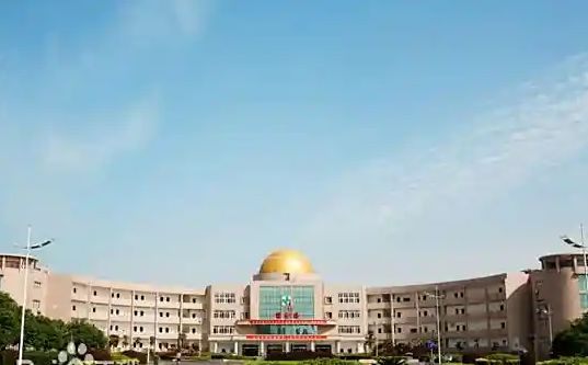 武汉市江夏区第一中学在武汉的排名第几 属于什么档次？