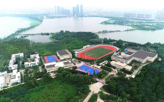 武汉西藏中学校区在哪 在什么区？