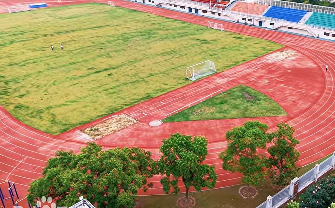 武汉市第三十九中学校区在哪_在什么区？