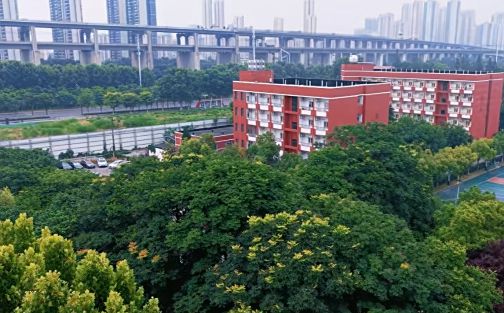 武汉市第三十九中学简介概况（建校历史、地址、师资、校训、环境）