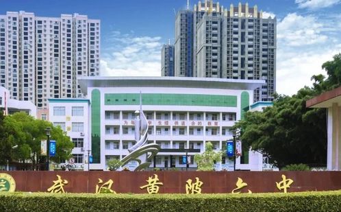 武汉市黄陂区第六中学简介概况（建校历史、地址、师资、校训、环境）