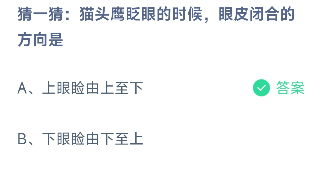 猜一猜：猫头鹰眨眼的时候，眼皮闭合的方向是 蚂蚁庄园8.25日答案