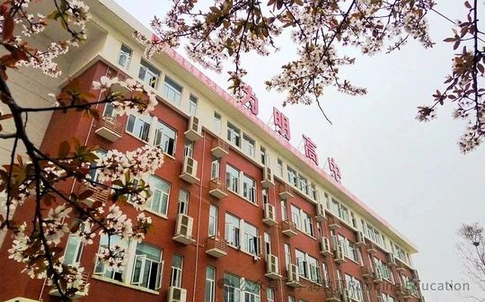 武汉为明高级中学校区在哪 在什么区？