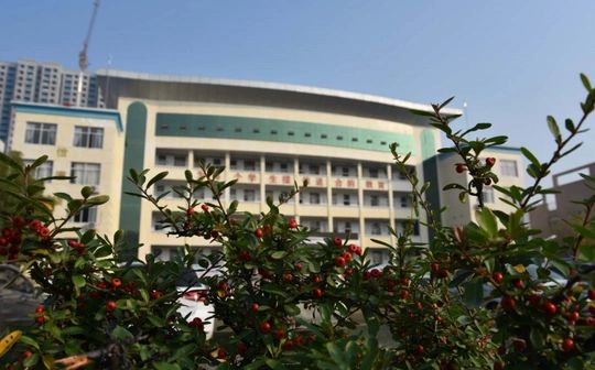 武汉市黄陂区第六中学校区在哪 在什么区？