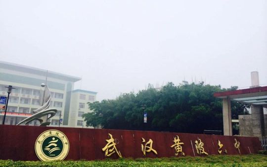 武汉市黄陂区第六中学在武汉的排名第几 属于什么档次？