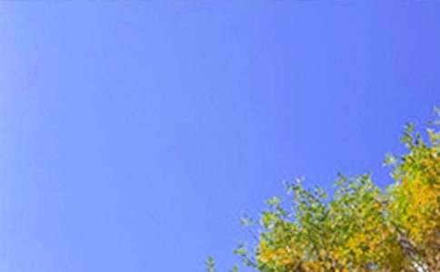 适合早安发朋友圈的句子(精选150句)