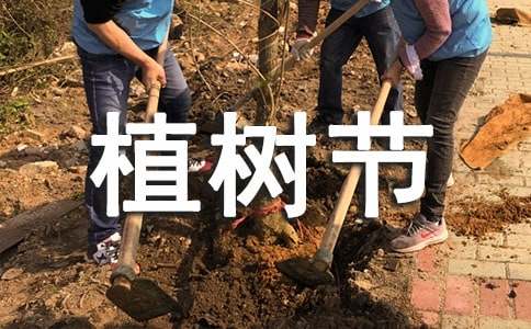 关于植树节的名言警句190句