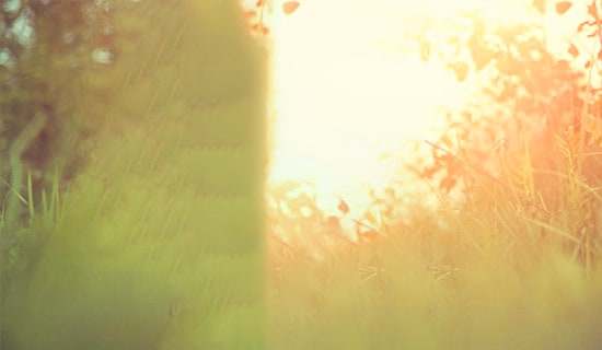 苦中作乐的唯美句子