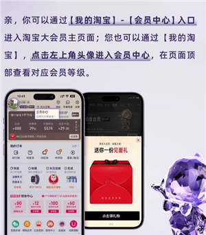 我的淘宝大会员在哪里看？