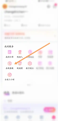 大麦网抢票怎么设置免密支付？