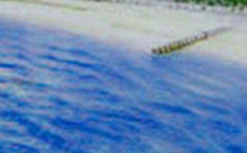 美景放松心情的句子（精选440句）