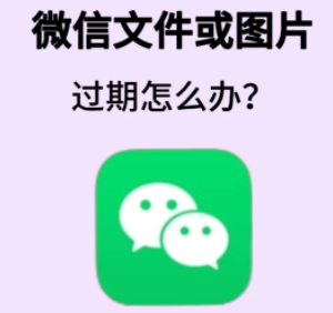 怎么把微信过期文件恢复？微信过期文件恢复方法