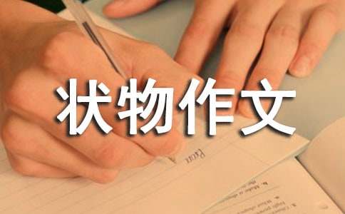 关于状物作文（通用47篇）