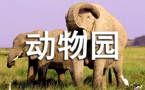 动物园作文(精选8篇)