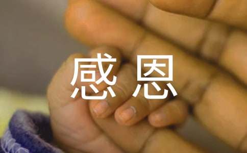 感恩父母作文（精选58篇）