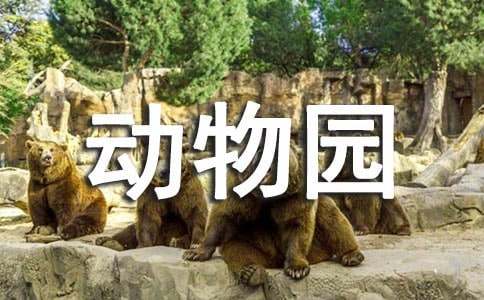 小小“动物园”小学作文（精选45篇）