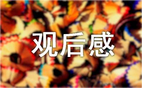 辉煌中国的观后感范文（精选18篇）