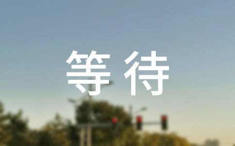 关于等待的作文600字（精选31篇）