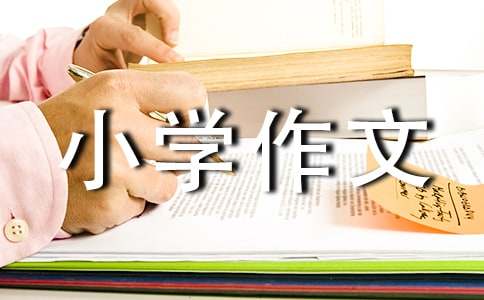 成长的足迹小学作文500字（精选21篇）