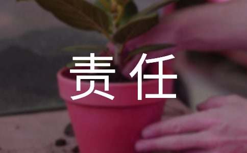责任与担当的高中作文（通用31篇）