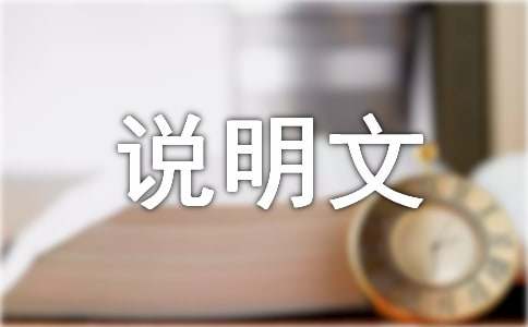说明文的作文600字(通用23篇)