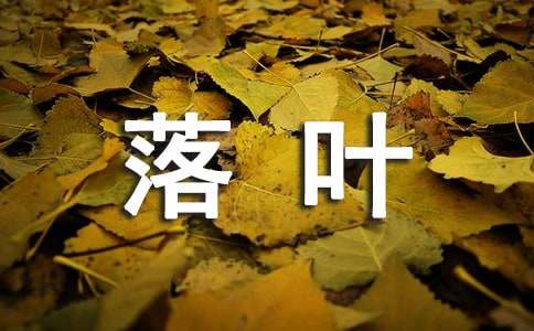 最后一片落叶作文