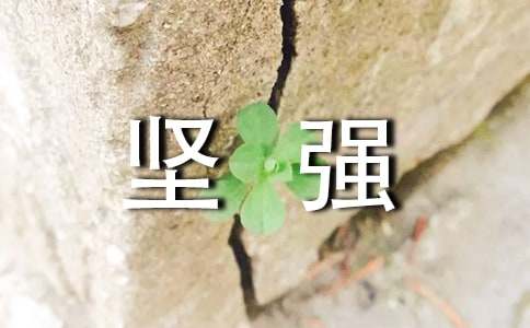我学会了坚强作文600字（精选28篇）