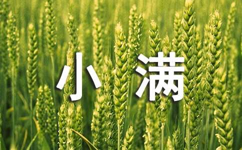 小满的诗句150句