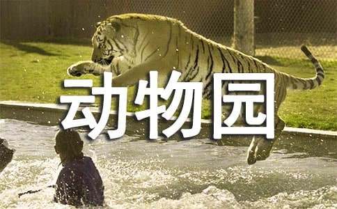 小小动物园四年级作文（通用30篇）