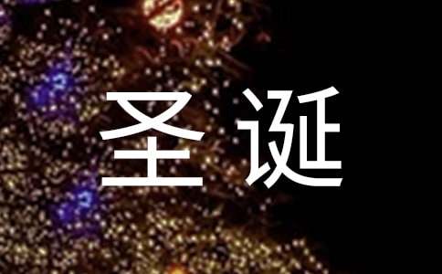 圣诞晚会作文600字三篇