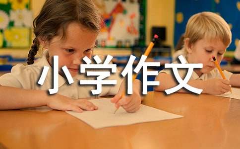 小学作文（通用66篇）