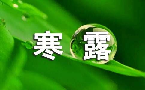 经典寒露诗句