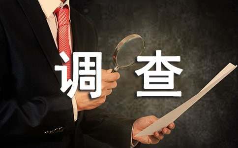 调查报告作文