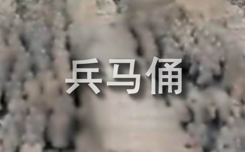兵马俑介绍作文300字（通用19篇）
