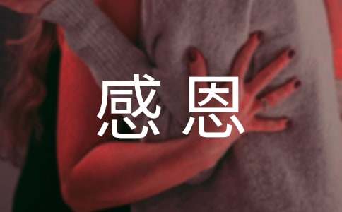 关于感恩相遇的唯美句子