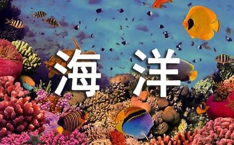 游青岛极地海洋世界日记（通用21篇）