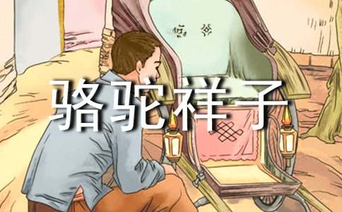 《骆驼祥子》好词好句 15篇