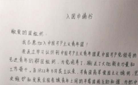 2025年中学生入团申请书（精选25篇）