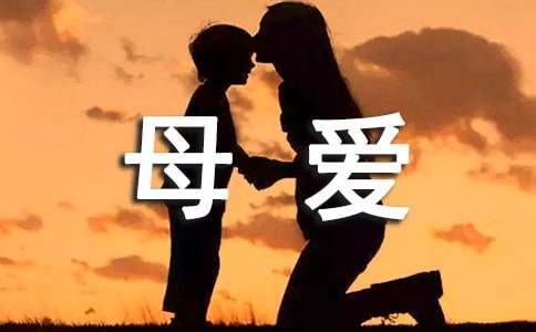 母爱的散文汇总（15篇）