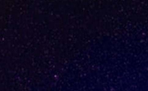 仰望星空与脚踏实地高中作文（精选25篇）