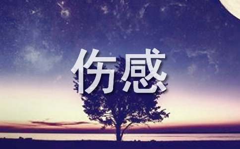 伤感日志:我们是糖,甜到哀伤